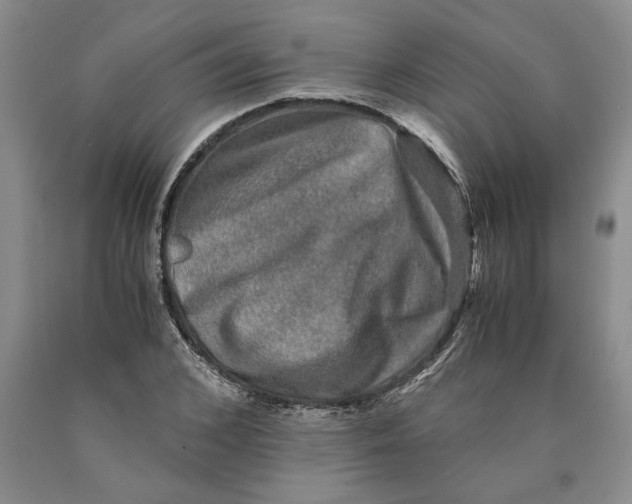 X0000089920976200707271732