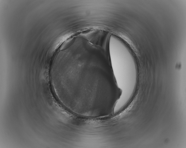 X0000089920977200707271732