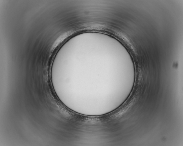 X0000089920978200707271732