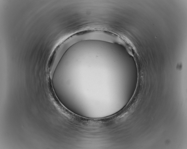 X0000089920981200707271732