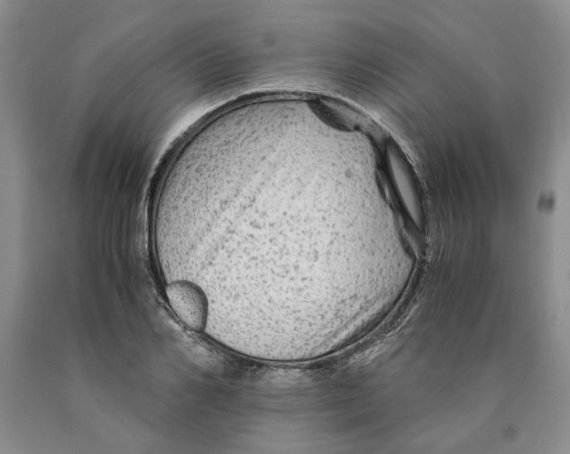 X0000089920982200707271732