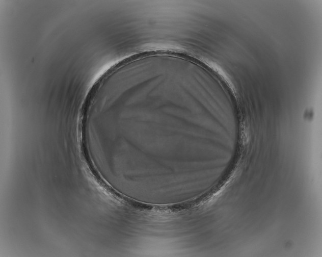 X0000089920983200707271732