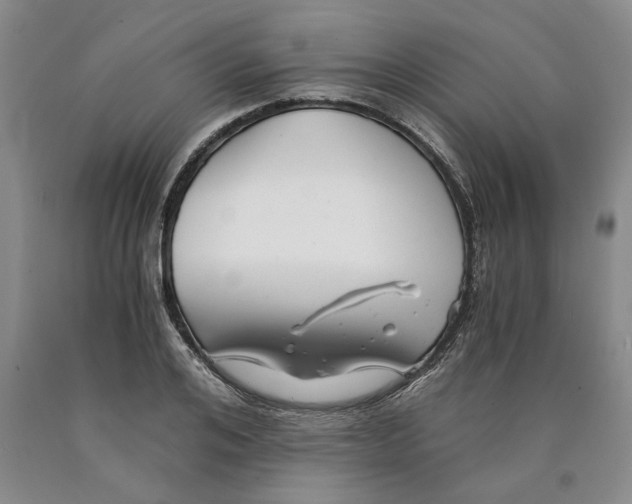 X0000089920984200707271732