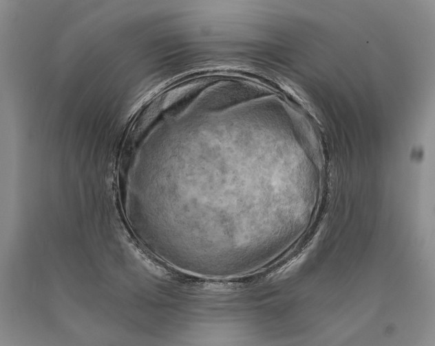 X0000089920985200707271732