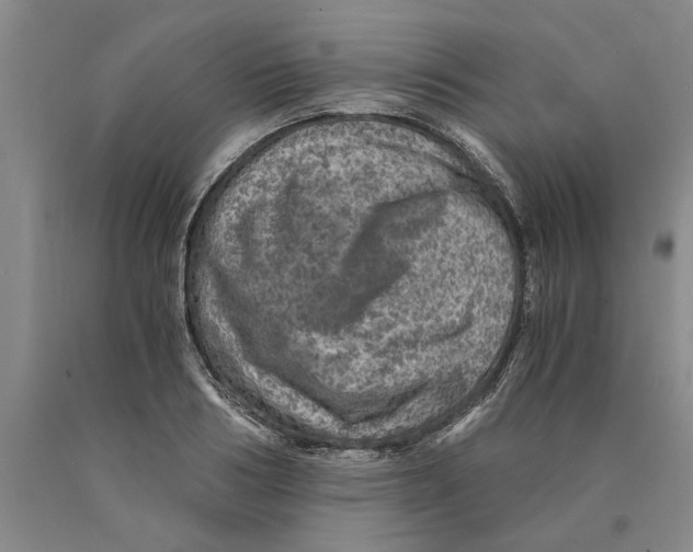 X0000089920986200707271732