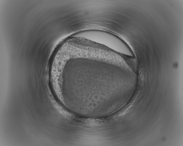 X0000089920987200707271732