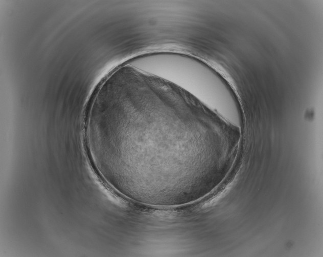 X0000089920989200707271732