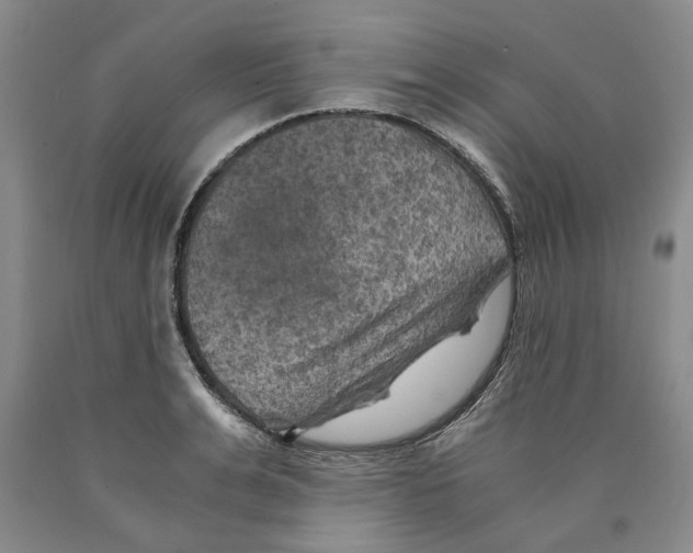 X0000089920991200707271732