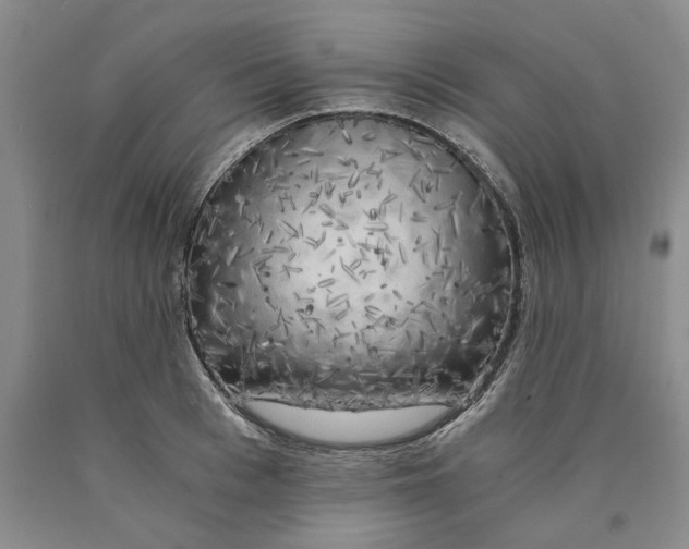 X0000089920993200707271732