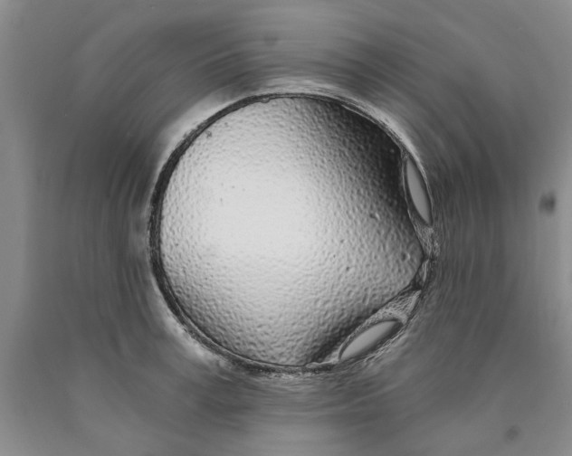 X0000089920995200707271732