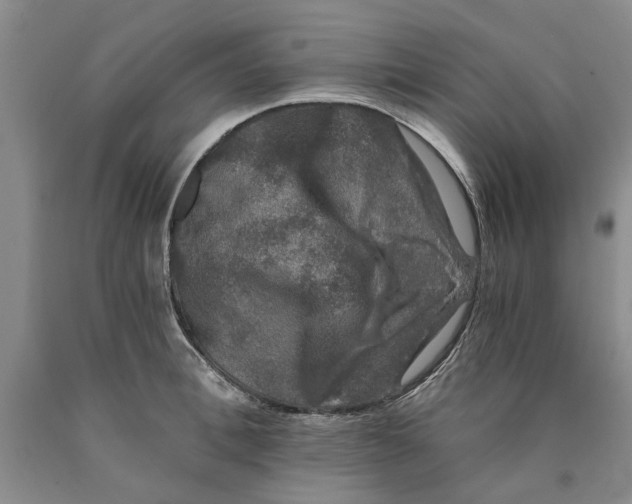 X0000089920996200707271732