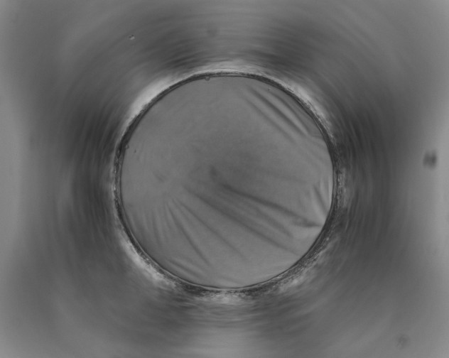 X0000089920998200707271732