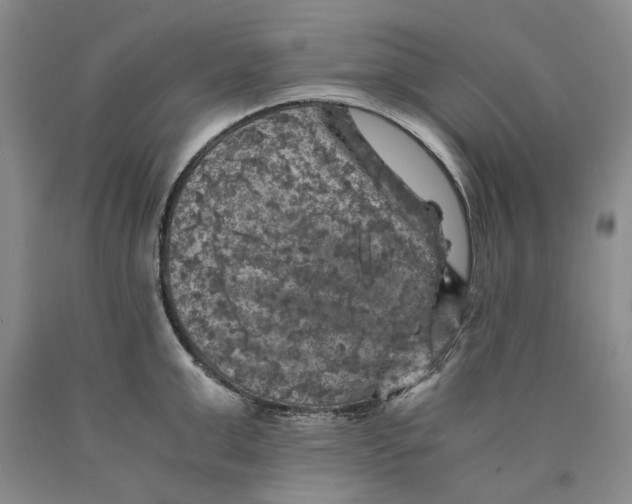 X0000089920999200707271732