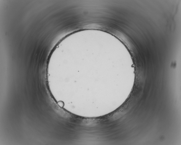 X0000089921000200707271732