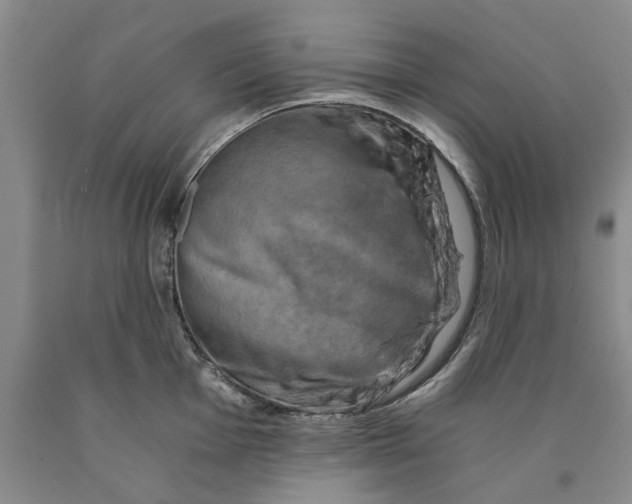 X0000089921001200707271732