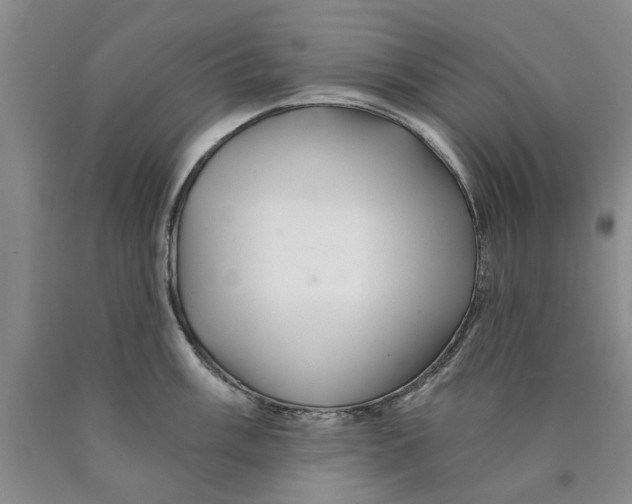 X0000089921003200707271732