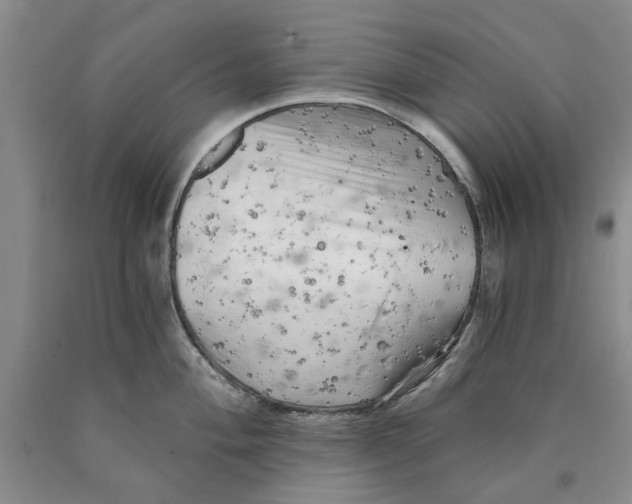 X0000089921004200707271732