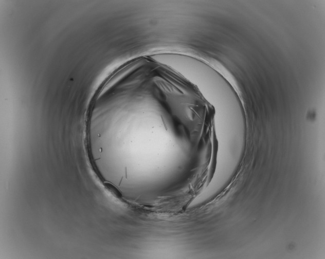 X0000089921005200707271732