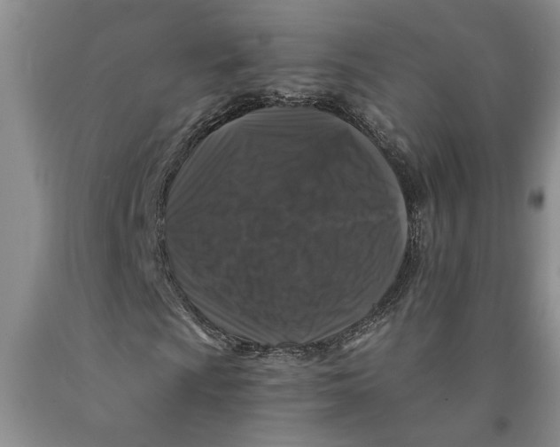 X0000089921009200707271731