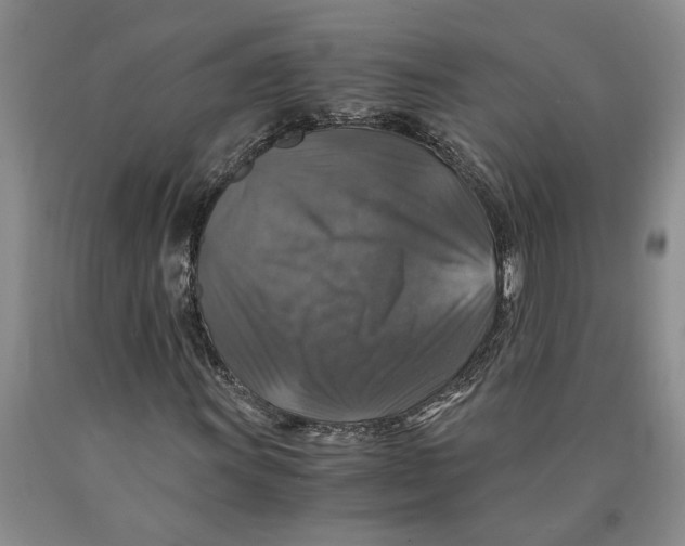 X0000089921011200707271731