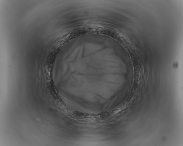 X0000089921013200707271731