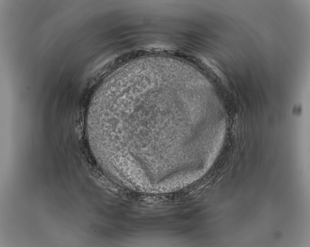 X0000089921015200707271731