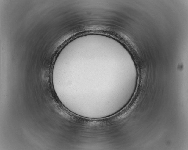 X0000089921017200707271731