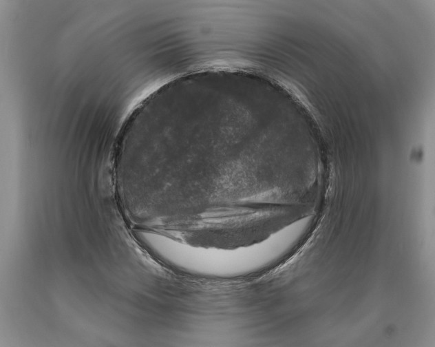 X0000089921018200707271732