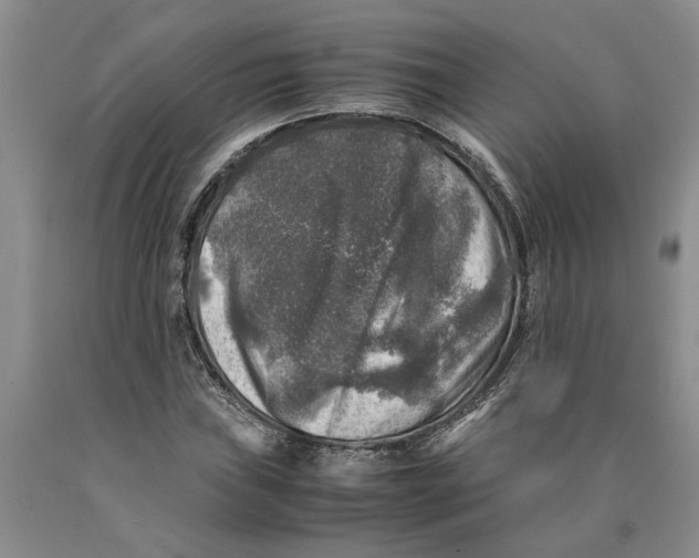 X0000089921019200707271732