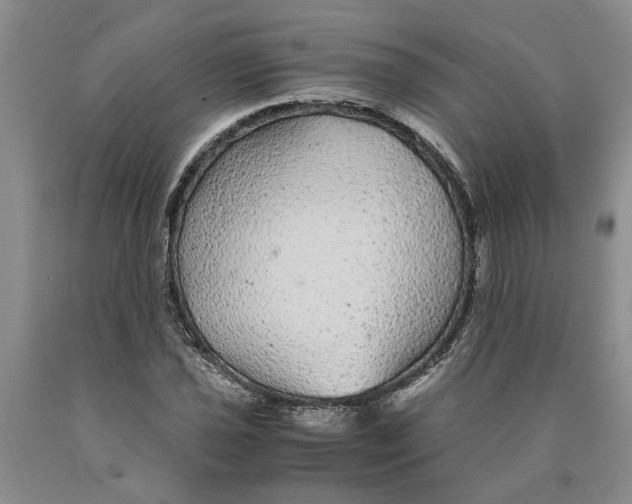 X0000089921021200707271732