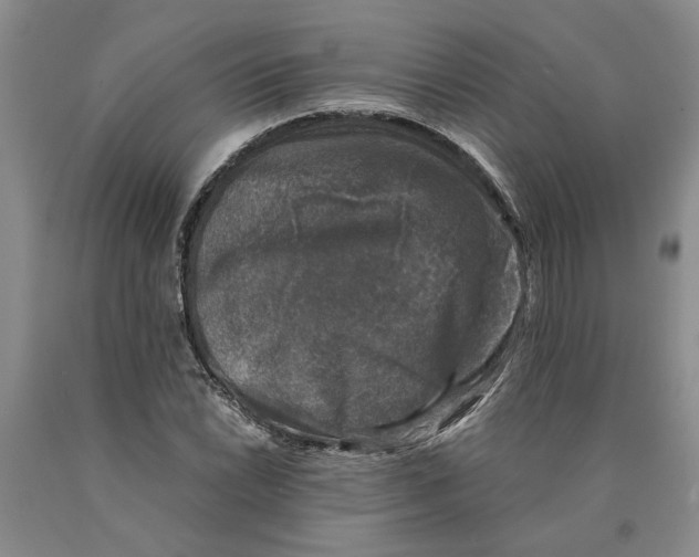 X0000089921022200707271732