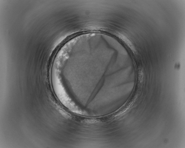 X0000089921023200707271732