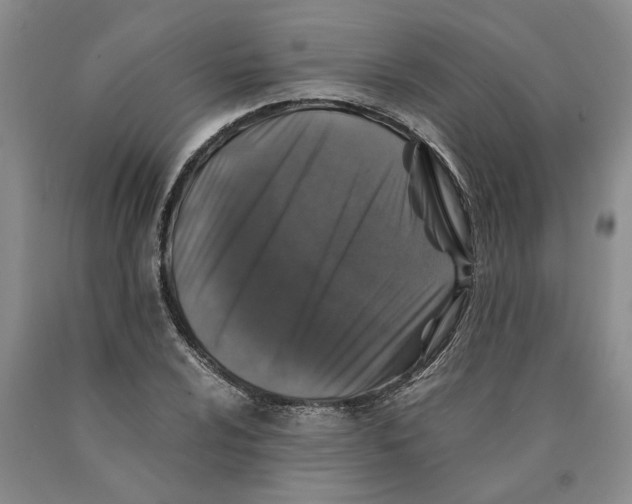 X0000089921024200707271732