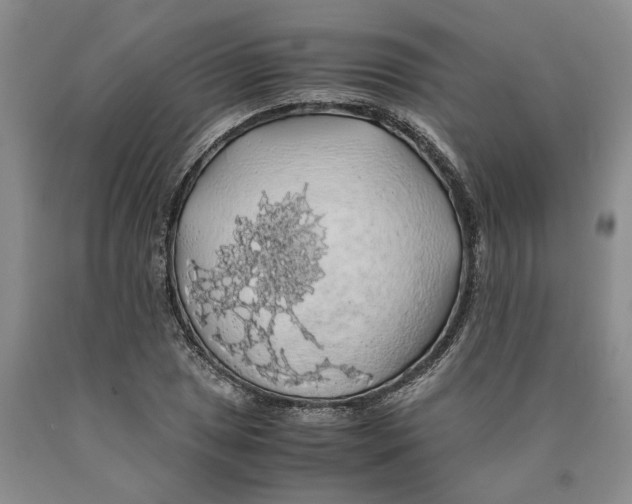 X0000089921025200707271732