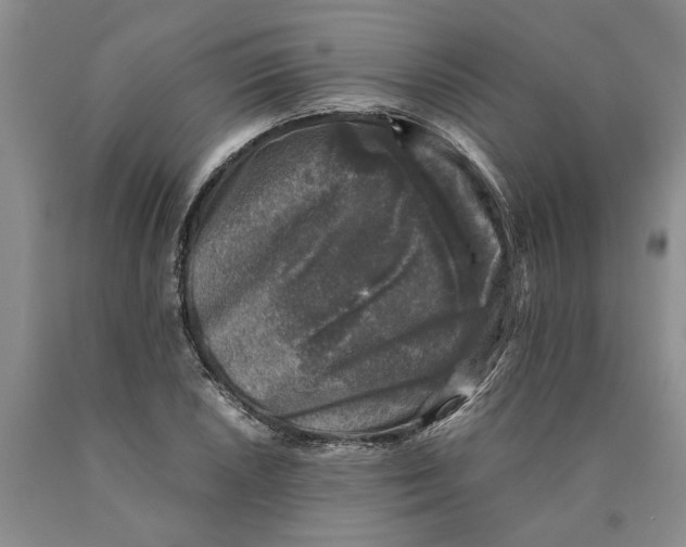 X0000089921026200707271732