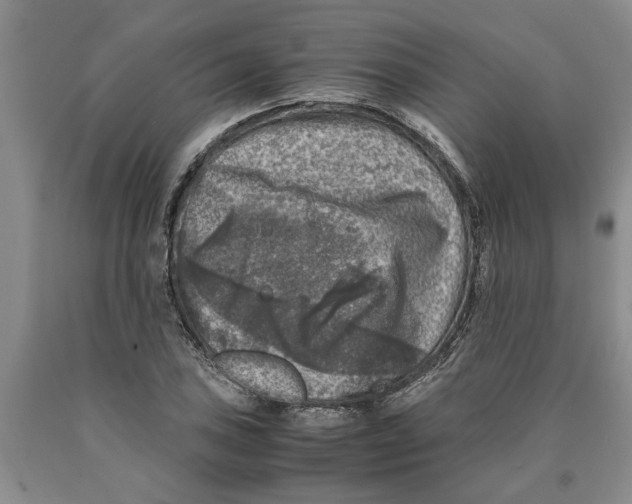 X0000089921027200707271732