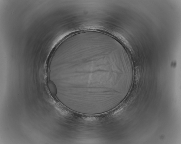 X0000089921031200707271732