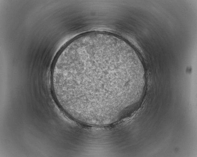 X0000089921032200707271732