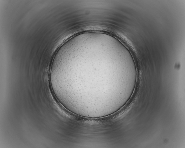 X0000089921033200707271732