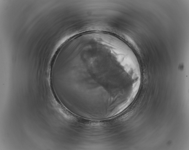 X0000089921035200707271732