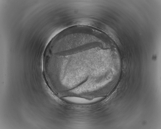 X0000089921036200707271732