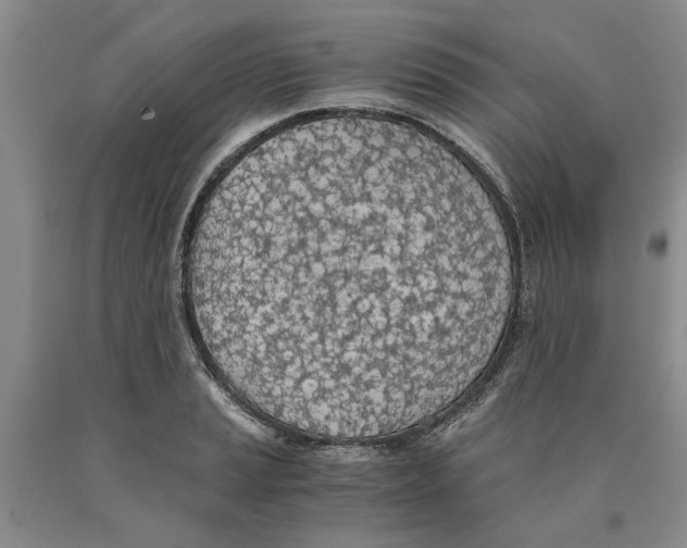 X0000089921037200707271732