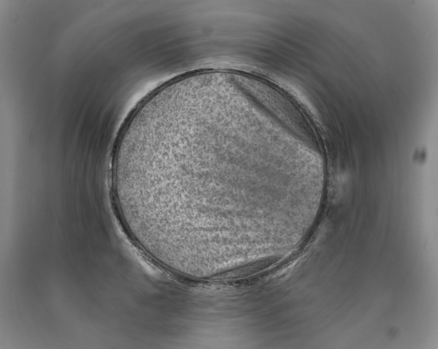 X0000089921040200707271732