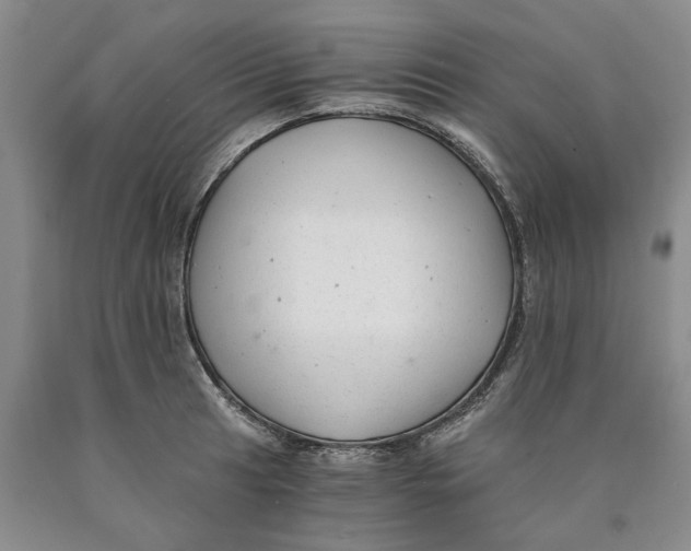 X0000089921041200707271732