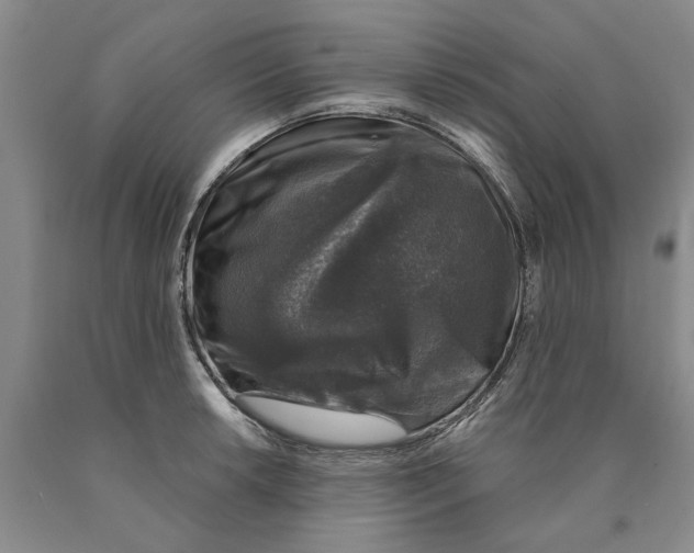 X0000089921042200707271732