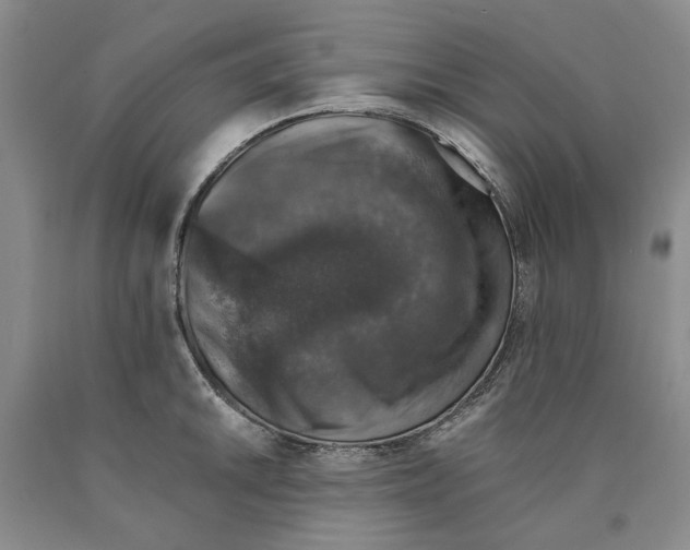 X0000089921046200707271732