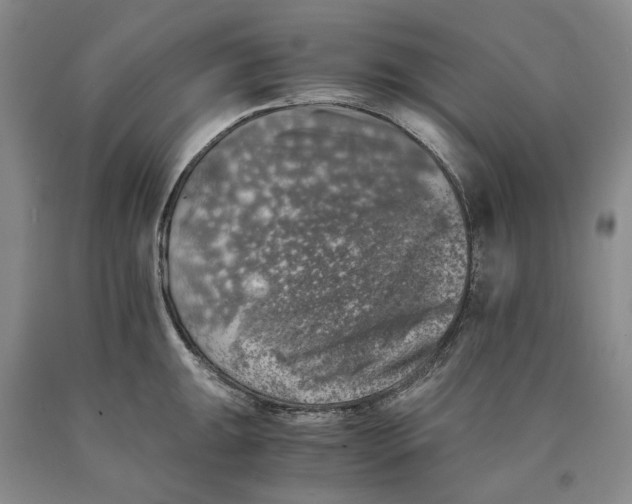 X0000089921047200707271732