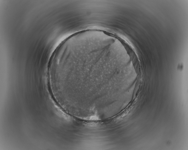 X0000089921048200707271732