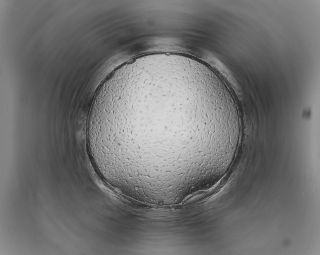 X0000089921049200707271732