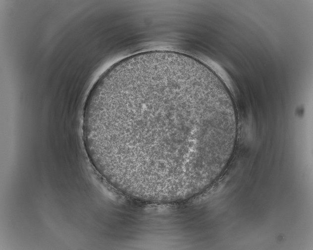 X0000089921051200707271732